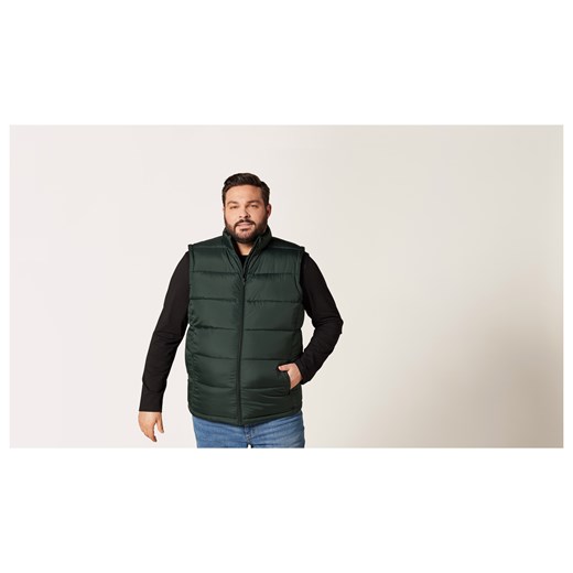 LIVERGY® Kamizelka męska pikowana ze stójką (XXl, Zielony) Livergy® LIDL Sklep