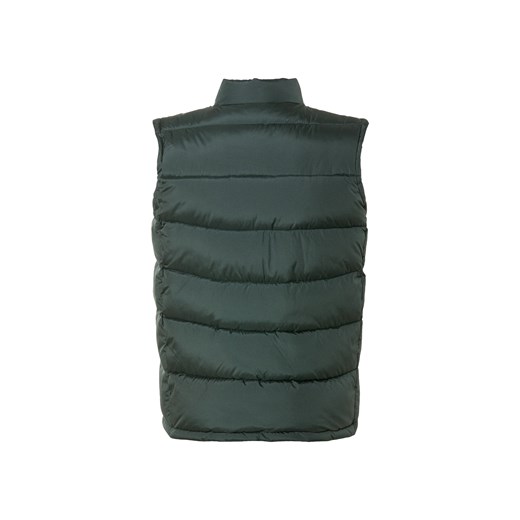 LIVERGY® Kamizelka męska pikowana ze stójką (XXl, Zielony) Livergy® LIDL Sklep