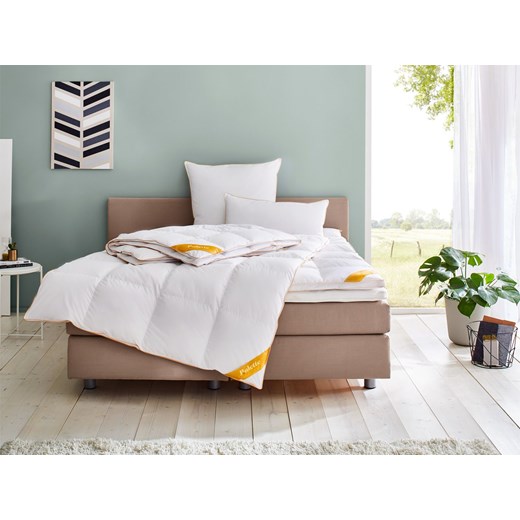 Balette Kołdra puchowa kasetowa "Gold-Edition" Balette LIDL Sklep