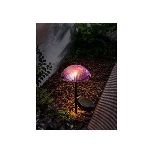LIVARNO home Dekoracyjna lampa solarna (Lampka fioletowa) Livarno Home LIDL Sklep