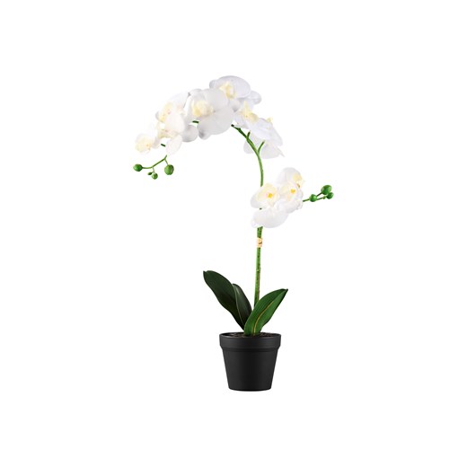 LIVARNO home Sztuczny kwiat Orchidea \ Trawa ozdobna \ Hortensja Livarno Home LIDL Sklep