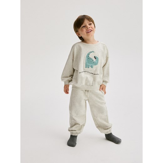 Reserved - Bawełniany komplet z aplikacją - jasnoszary ze sklepu Reserved w kategorii Komplety chłopięce - zdjęcie 176564031