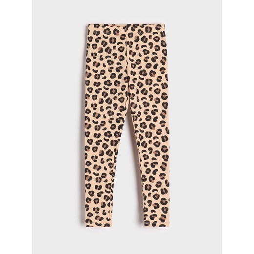 Sinsay - Legginsy 2 pack - wielobarwny Sinsay 116 Sinsay