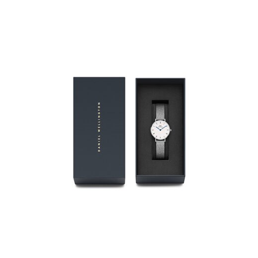 Daniel Wellington Zegarek Petite Roman Numerals Sterling DW00100684 Srebrny Daniel Wellington uniwersalny MODIVO