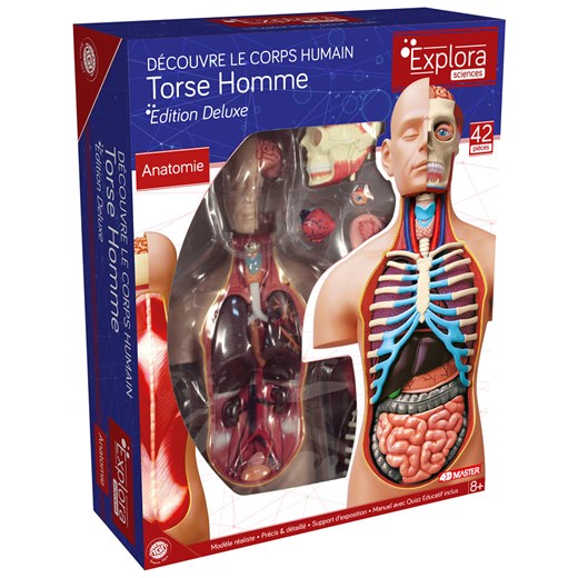 MGM Zestaw naukowy - 8+ ze sklepu Limango Polska w kategorii Zabawki - zdjęcie 177450022