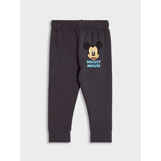 Sinsay - Legginsy 2 pack Myszka Miki - szary Sinsay 104 Sinsay
