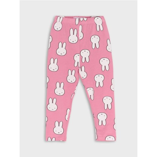 Sinsay - Legginsy Miffy - różowy Sinsay 74 Sinsay