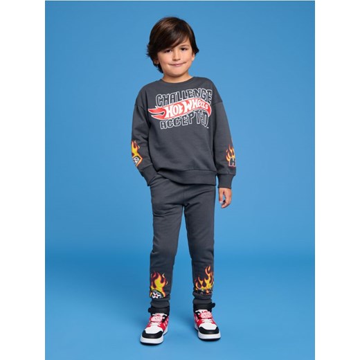 Sinsay - Komplet dzianinowy Hot Wheels - szary Sinsay 104 Sinsay