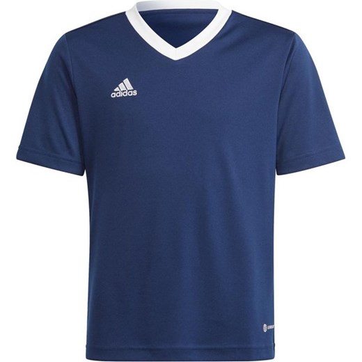 Koszulka juniorska Entrada 22 Jersey Adidas ze sklepu SPORT-SHOP.pl w kategorii T-shirty chłopięce - zdjęcie 177565330