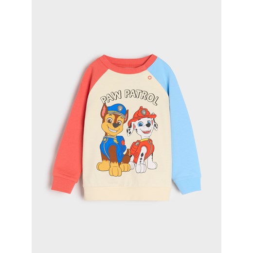 Sinsay - Bluza Psi Patrol - kremowy Sinsay 74 Sinsay