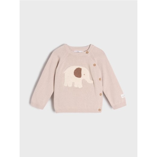 Sinsay - Sweter z apikacją - Inny ze sklepu Sinsay w kategorii Bluzy i swetry - zdjęcie 177571430