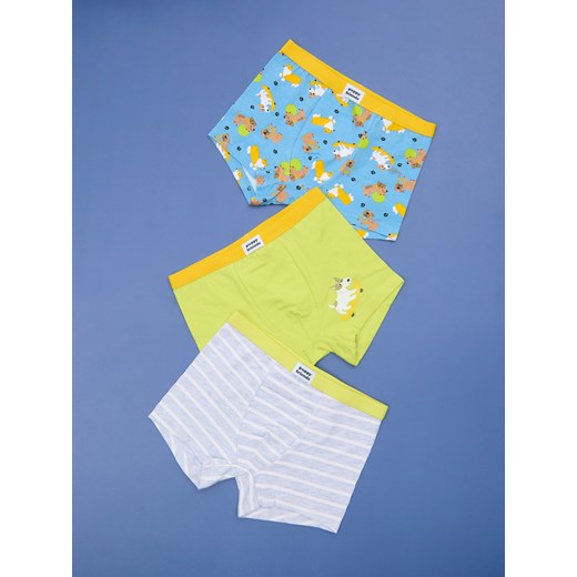 Sinsay - Bokserki 3 pack - wielobarwny Sinsay 110/116 Sinsay