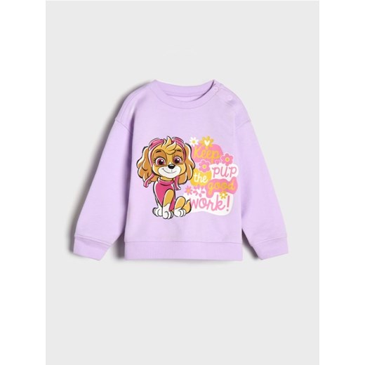 Sinsay - Bluza Psi Patrol - fioletowy ze sklepu Sinsay w kategorii Bluzy i swetry - zdjęcie 177786440