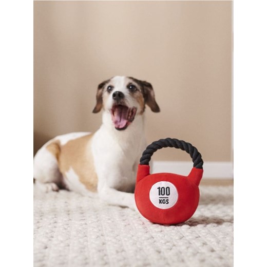 Sinsay - Zabawka dla psa kettlebell - czerwony ze sklepu Sinsay w kategorii Dla zwierząt - zdjęcie 177786483