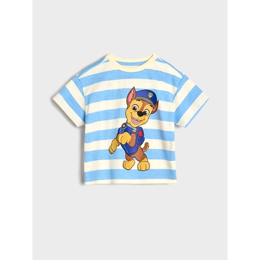 Sinsay - Komplet dzianinowy Psi Patrol - kremowy Sinsay 80 Sinsay