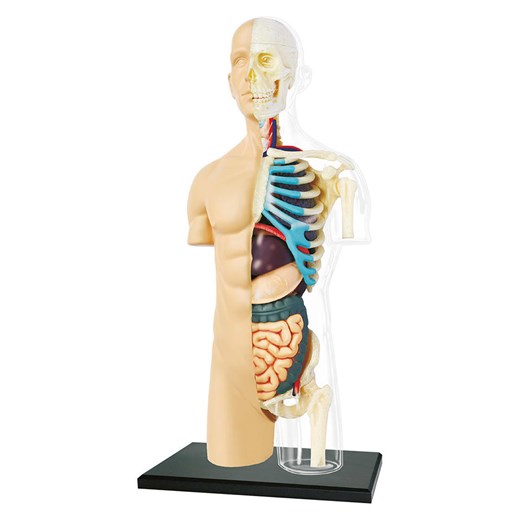 MGM 37-częściowy zestaw naukowy - 8+ ze sklepu Limango Polska w kategorii Zabawki - zdjęcie 178125823