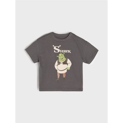 Sinsay - Koszulka Shrek - szary ze sklepu Sinsay w kategorii Koszulki niemowlęce - zdjęcie 178134312