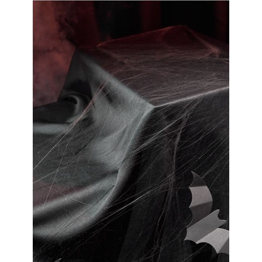 Sinsay - Dekoracja na Halloween pajęczyna - czarny ze sklepu Sinsay w kategorii Dekoracje świąteczne - zdjęcie 178134371