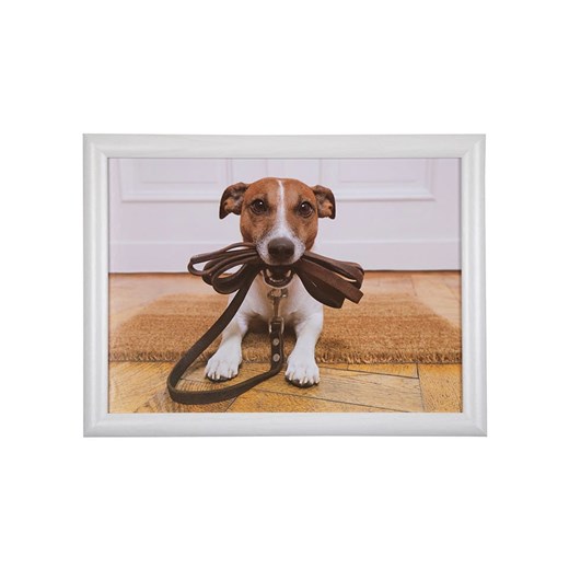 Mars &amp; More Taca &quot;Jack Russell&quot; w kolorze białym - 43 x 43 cm ze sklepu Limango Polska w kategorii Tace - zdjęcie 178143222