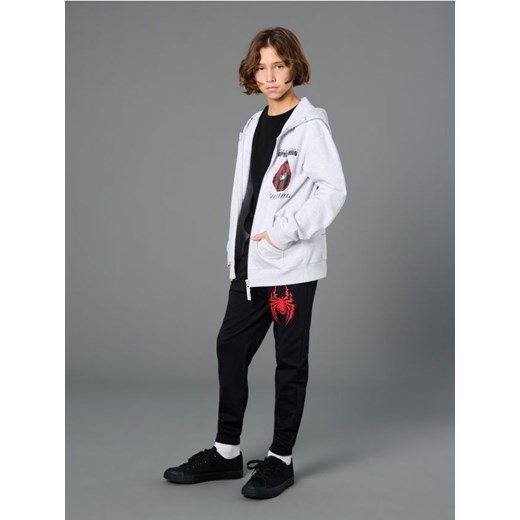 Sinsay - Bluza Spider-Man - szary ze sklepu Sinsay w kategorii Bluzy chłopięce - zdjęcie 178187042