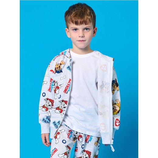 Sinsay - Bluza Paw Patrol - szary ze sklepu Sinsay w kategorii Bluzy chłopięce - zdjęcie 178323463