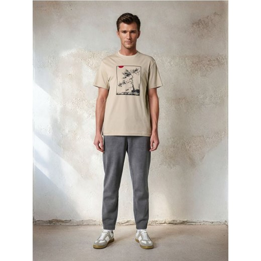 Sinsay - Koszulka - Inny ze sklepu Sinsay w kategorii T-shirty męskie - zdjęcie 178338790