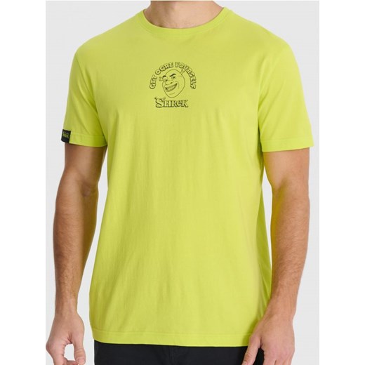 Sinsay - Koszulka Shrek - zielony ze sklepu Sinsay w kategorii T-shirty męskie - zdjęcie 178338853
