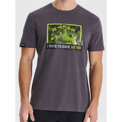 Sinsay - Koszulka Shrek - szary ze sklepu Sinsay w kategorii T-shirty męskie - zdjęcie 178338854