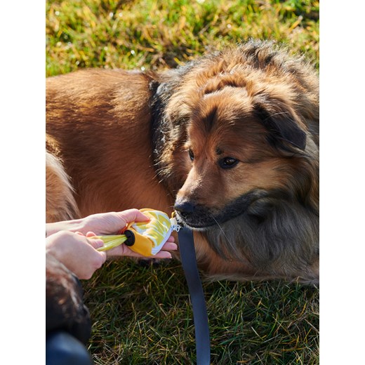 Sinsay - Etui na woreczki na odchody - żółty Sinsay One Size Sinsay