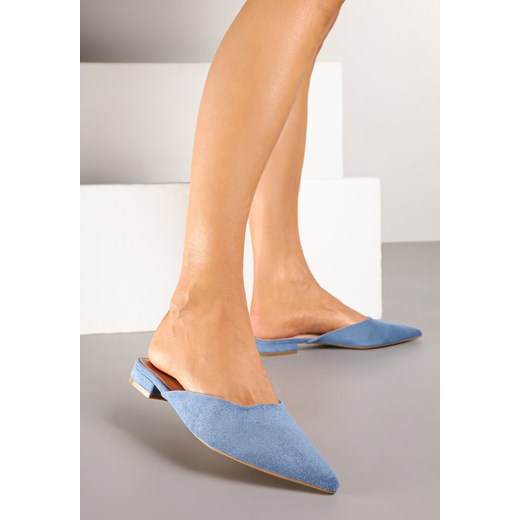 Niebieskie Eleganckie Klapki Mule ze Szpiczastym Noskiem Derraza ze sklepu born2be.pl w kategorii Klapki damskie - zdjęcie 178439584