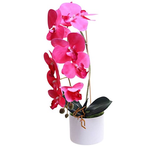 Dekoracja Pantofelek24 