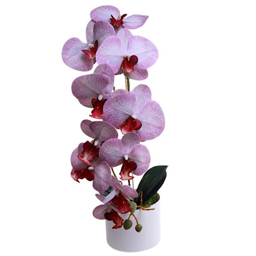 Dekoracja Pantofelek24 