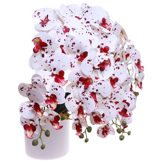 Dekoracja Pantofelek24 