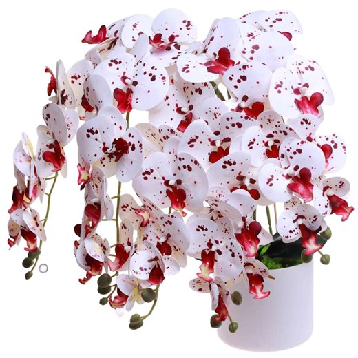 Dekoracja Pantofelek24 