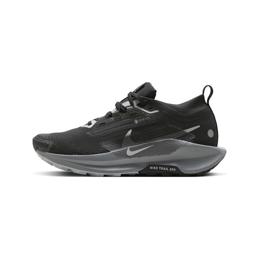 Damskie wodoszczelne buty do biegania w terenie Nike Pegasus Trail 5 GORE-TEX - Czerń ze sklepu Nike poland w kategorii Buty sportowe damskie - zdjęcie 178604921