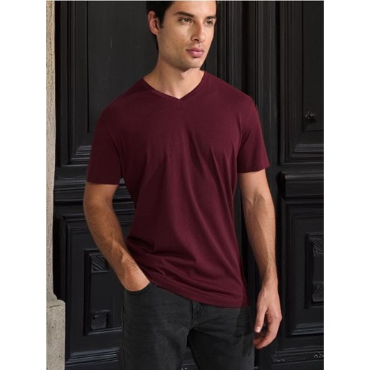Sinsay - Koszulka - czerwony ze sklepu Sinsay w kategorii T-shirty męskie - zdjęcie 178643910