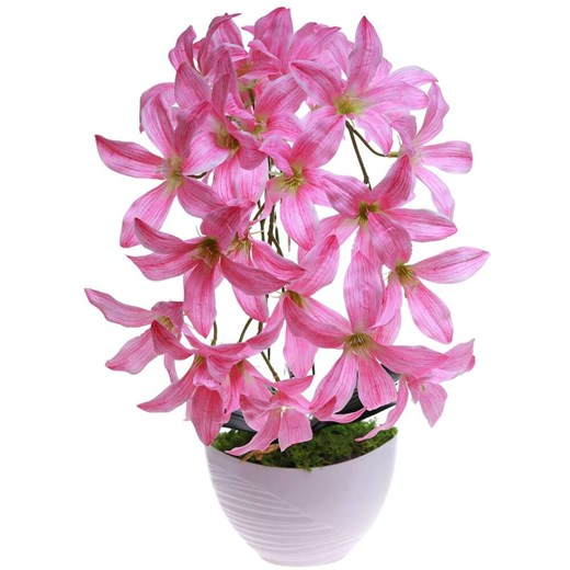 Różowy storczyk Cybidium Kompozycja kwiatowa 3 Pędy 50 cm KOMp84 S240 Pantofelek24 50 cm Pantofelek24.pl