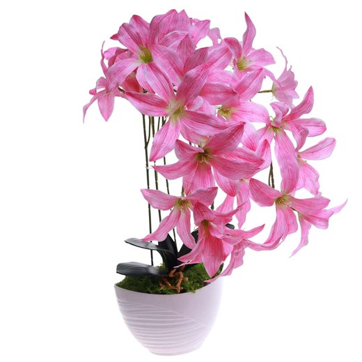 Różowy storczyk Cybidium Kompozycja kwiatowa 3 Pędy 50 cm KOMp84 S240 Pantofelek24 50 cm Pantofelek24.pl