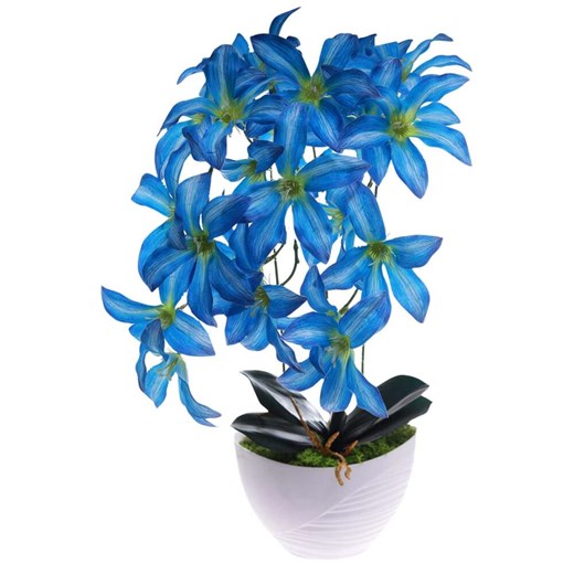 Niebieski storczyk Cybidium Kompozycja kwiatowa 3 Pędy 50 cm KOMp83 S240 Pantofelek24 50 cm Pantofelek24.pl