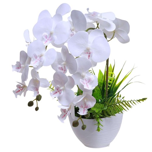 Dekoracja Pantofelek24 