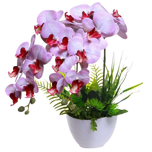 Dekoracja Pantofelek24 