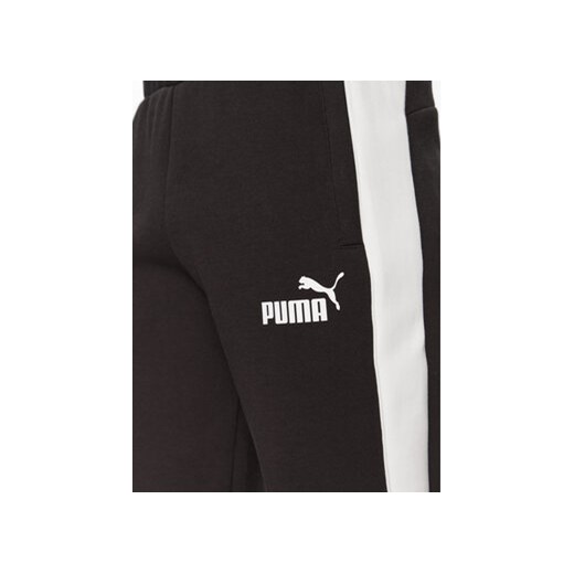 Spodnie męskie Puma 