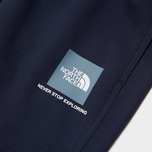 Spodnie męskie niebieskie The North Face 