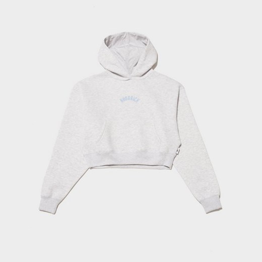 HOODRICH BLUZA Z KAPTUREM LEAD CROP HD LGM/BLU ze sklepu JD Sports  w kategorii Bluzy damskie - zdjęcie 178918362