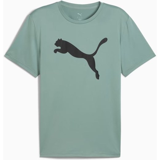 Koszulka męska Train All Day Solid Cat Puma ze sklepu SPORT-SHOP.pl w kategorii T-shirty męskie - zdjęcie 178930920