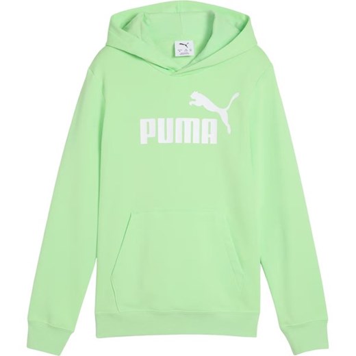 Bluza juniorska ESS No.1 Logo Hoodie Puma ze sklepu SPORT-SHOP.pl w kategorii Bluzy chłopięce - zdjęcie 178931223