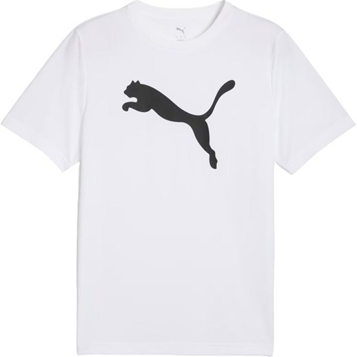 Koszulka męska Essentials Poly Tee Puma ze sklepu SPORT-SHOP.pl w kategorii T-shirty męskie - zdjęcie 178931251