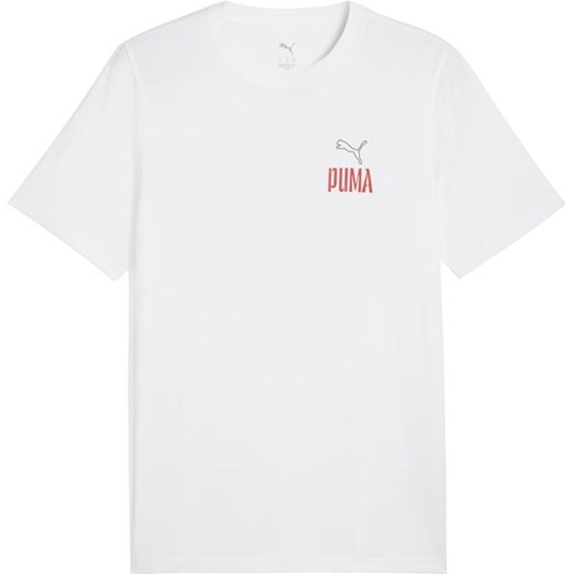 Koszulka męska Road To Unity Values Graphic Puma ze sklepu SPORT-SHOP.pl w kategorii T-shirty męskie - zdjęcie 178972123