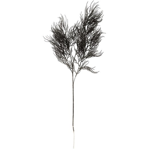 Present Time Sztuczna roślina &quot;Asparagus&quot; w kolorze czarnym - 25,4 x 86,4 cm ze sklepu Limango Polska w kategorii Doniczki i osłonki - zdjęcie 178976110