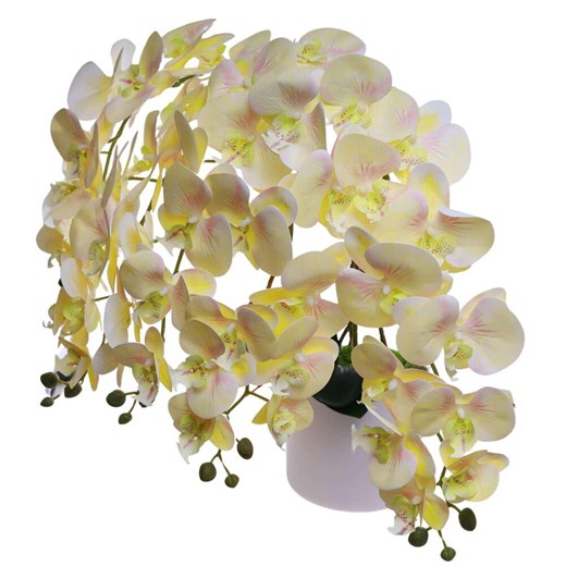 Żółty duży storczyk orchidea Kompozycja kwiatowa 5 Pędów 60 cm KOMp74 S640 ze sklepu Pantofelek24.pl w kategorii Dekoracje - zdjęcie 179043184